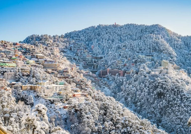 Shimla
